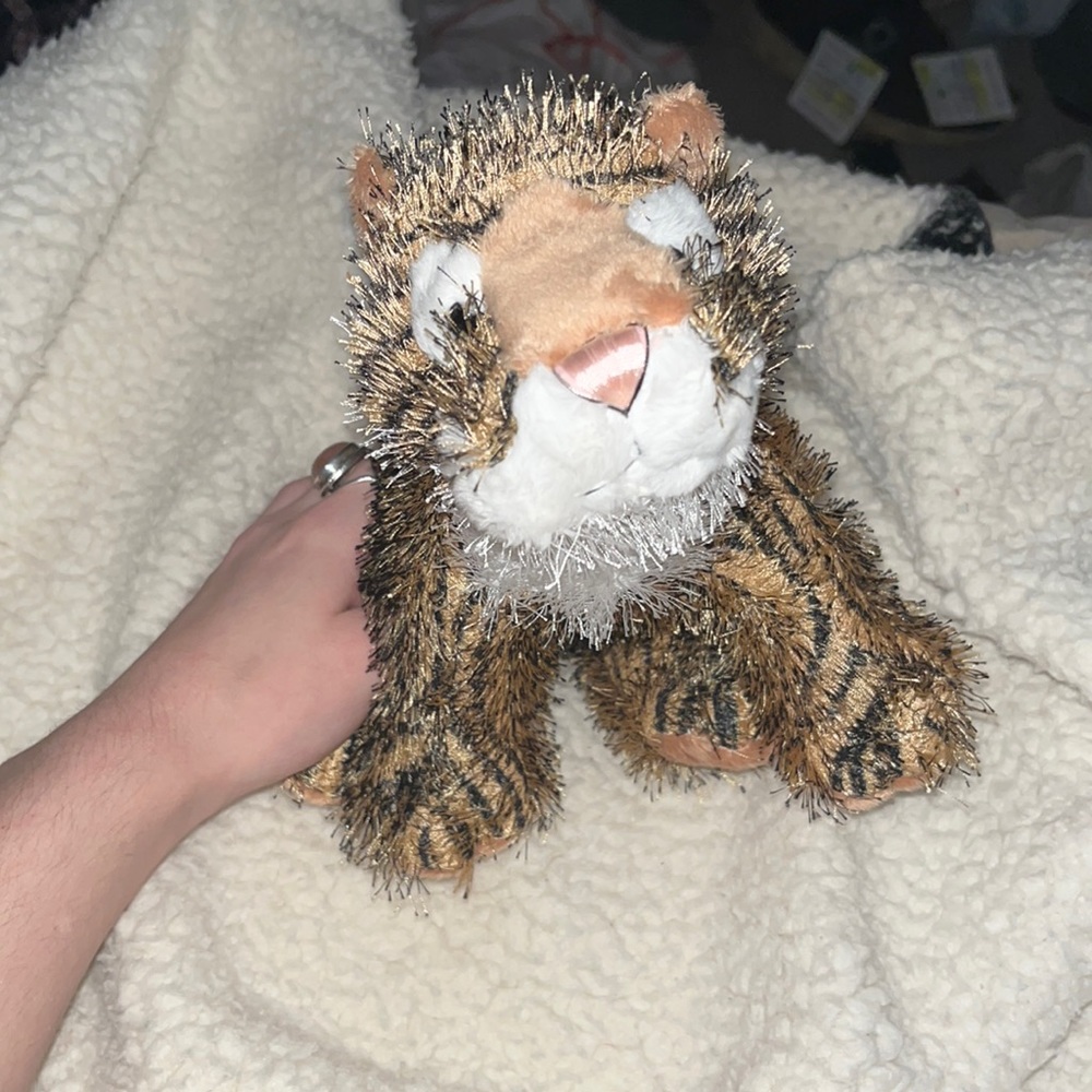 Tiger Webkinz